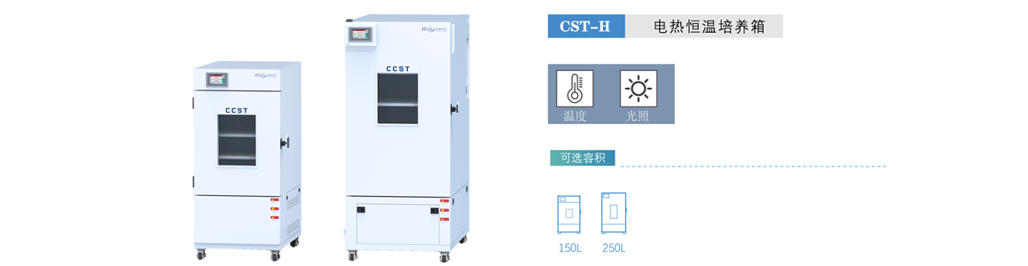 電熱恒溫培養箱