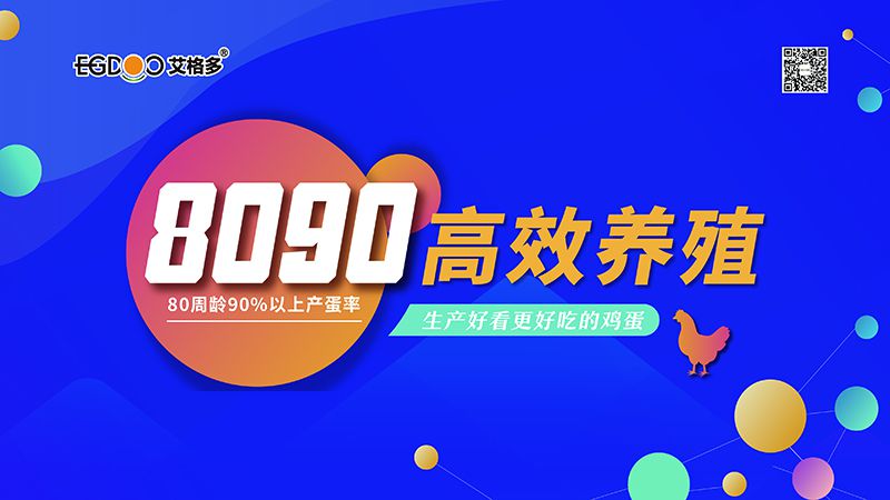 四會連開，艾格多8090高 效養(yǎng)殖700天唐山區(qū)域線下交流會成功舉辦