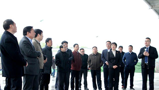 鶴壁市委常委、常務(wù)副市長(zhǎng)等領(lǐng)導(dǎo)來岐伯基地視察并指導(dǎo)工作